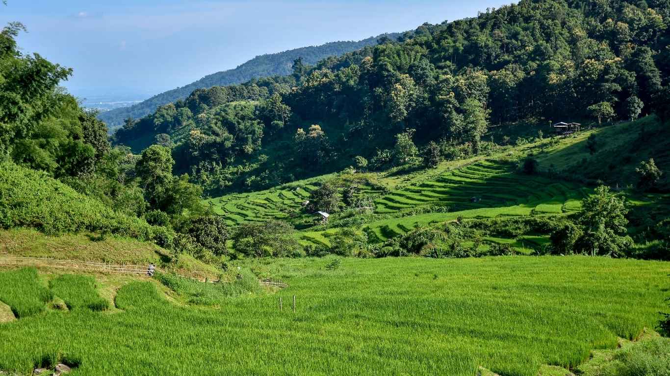 Ciwidey Tourist Spots, Best Options for Family Trips