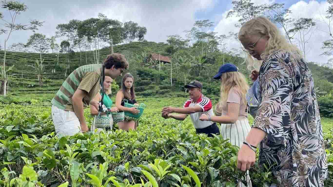 How Flexible Itinerary Tours Can Enhance Your Travel Experience
