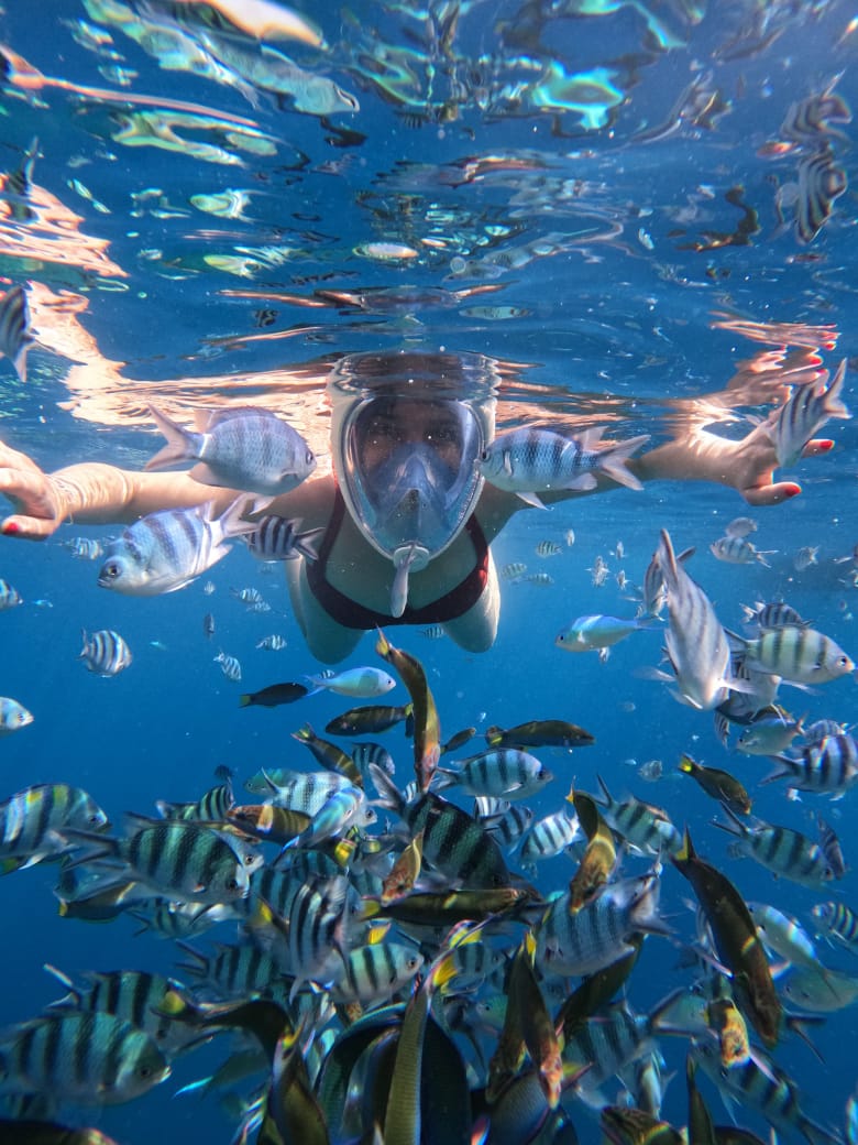 Karimunjawa 3 Days Tour