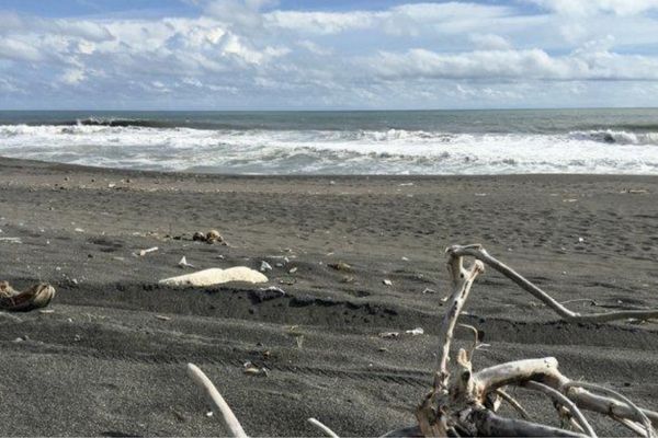 Pandansimo Beach